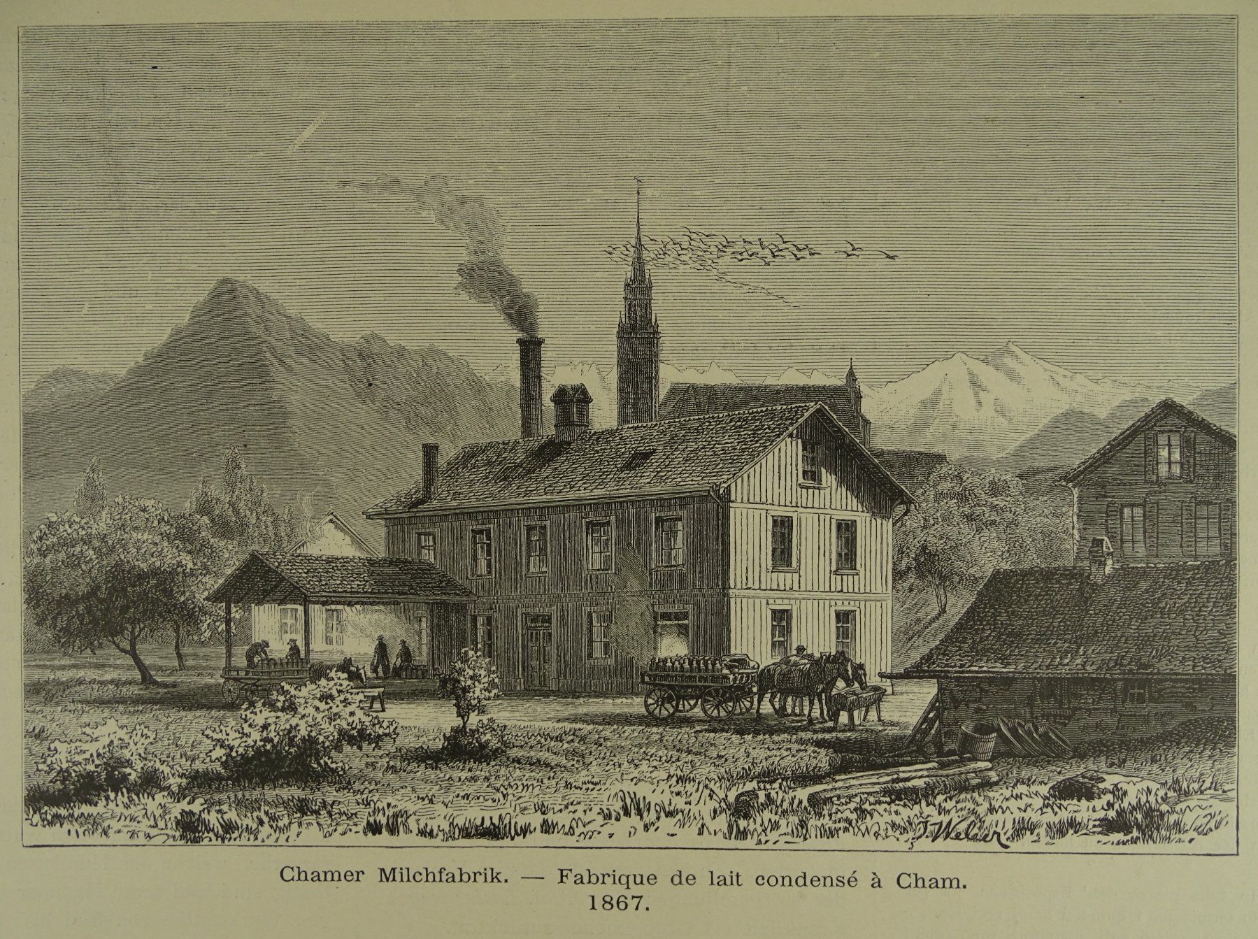 Stiche: CHAM MILCHFABRIK, 2 HOLZSTICHE 1884 – Gebraucht aus Grüningen von Kartensammler 2