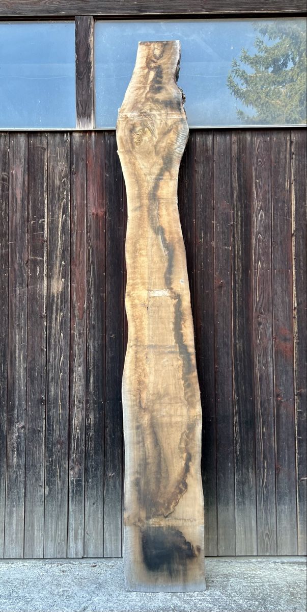 Articoli in legno: Klotzbrett Nussbaum  – Usato da Leutwil venduto da smh_wood