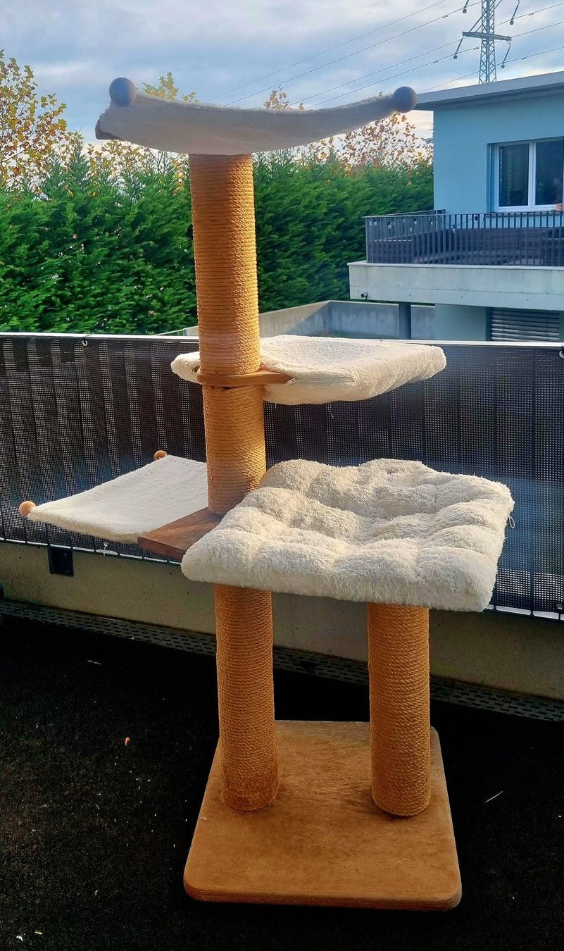 Tiragraffi: Katzenbaum, Kratzbaum – Usato da Hermetschwil-Staffeln venduto da Sharone4 2