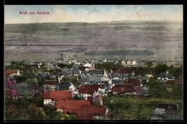 AK Selzach, Ortsansicht mit Kirche und Umgebung aus der Voge
