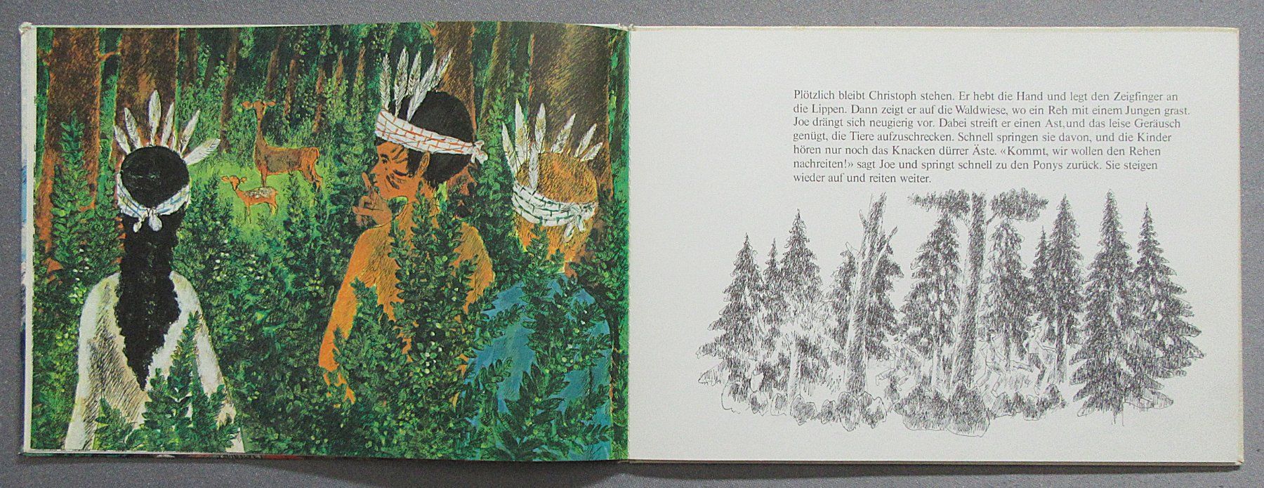 Libri: Pony-Ranch - Bilder von Paul Nussbaumer – Usato da Auenstein venduto da Padabimbim 3