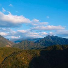 Profile image of TaoMeng