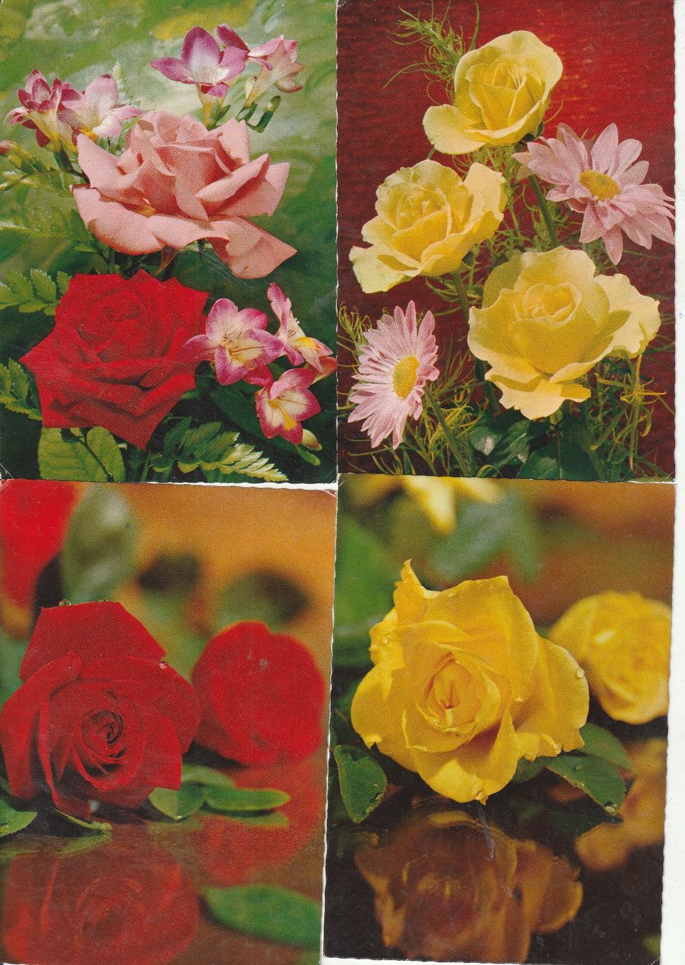 Cartes postales: 32  Blumenkarten – D'occasion à Lumbrein par made02 3