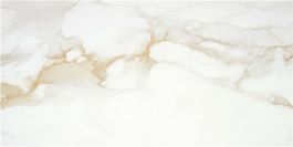 Camile Gold Wand & Bodenfliese 60x120cn NEU...