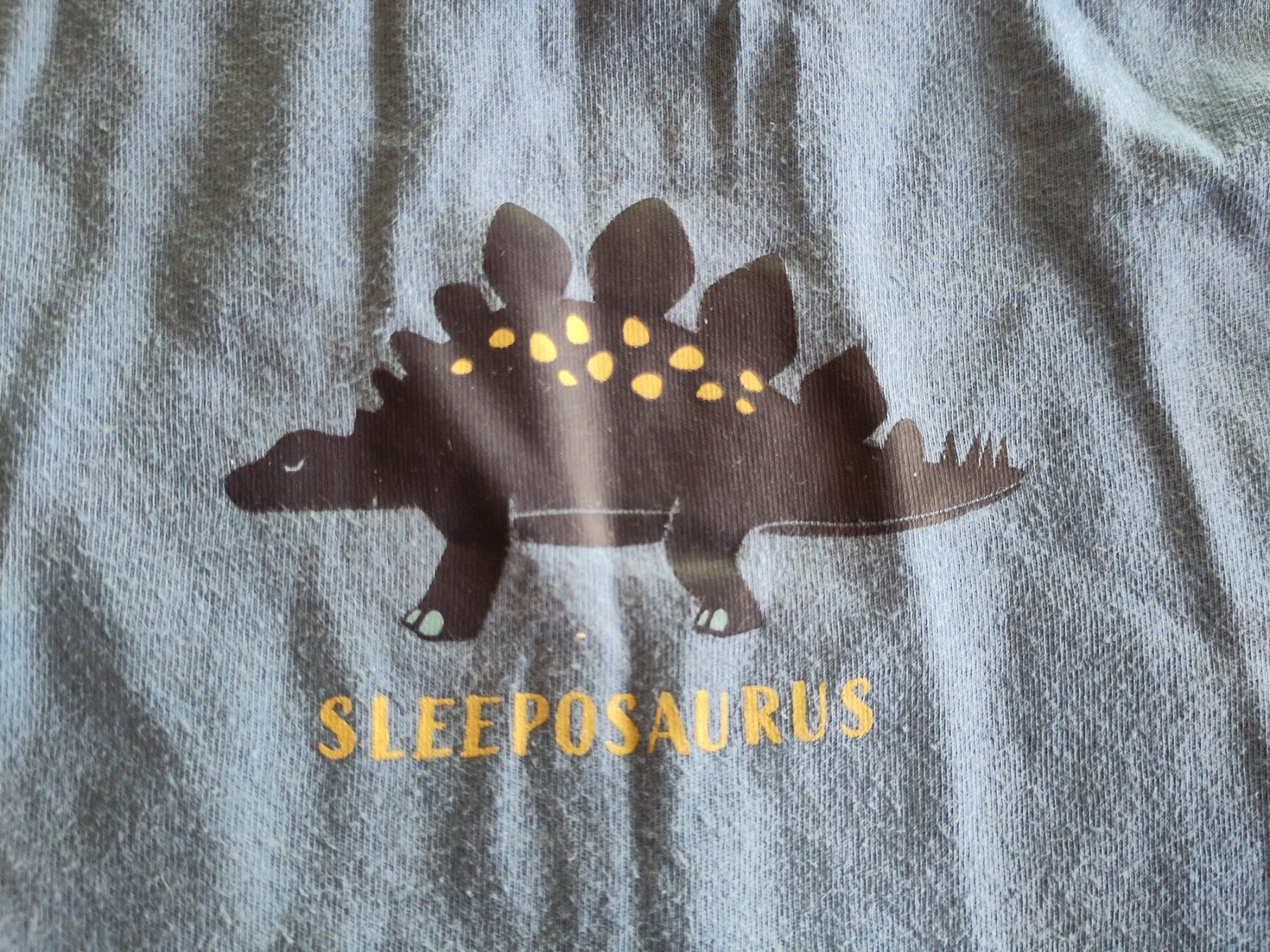 Migros Pigiama & Simili: Pyjama Dino lang 110/116 Baumwolle – Usato da Romont FR venduto da may_x6gf 5