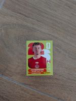 Panini Bild CAN 14