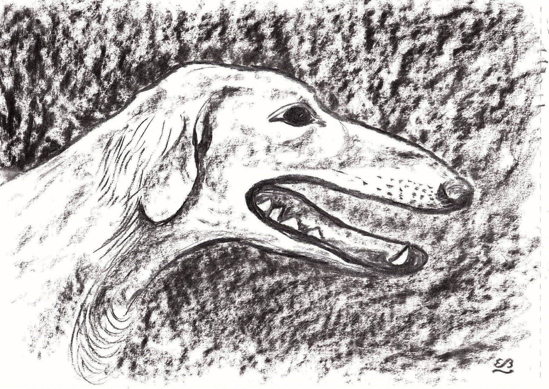 Tableaux: Zeichnung: Saluki – D'occasion à Fribourg par erw_68dx