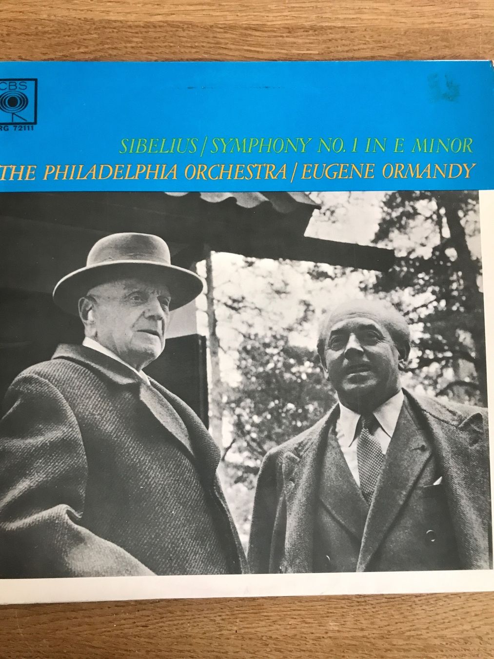 Dischi in vinile: LP Sibelius/Symphony No. 1 – Usato da Waldenburg venduto da Oliro75