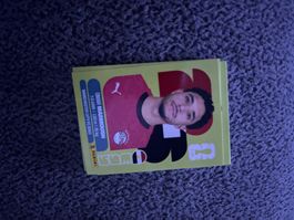 Panini Sticker EGY 20, Ägypten WM 2026