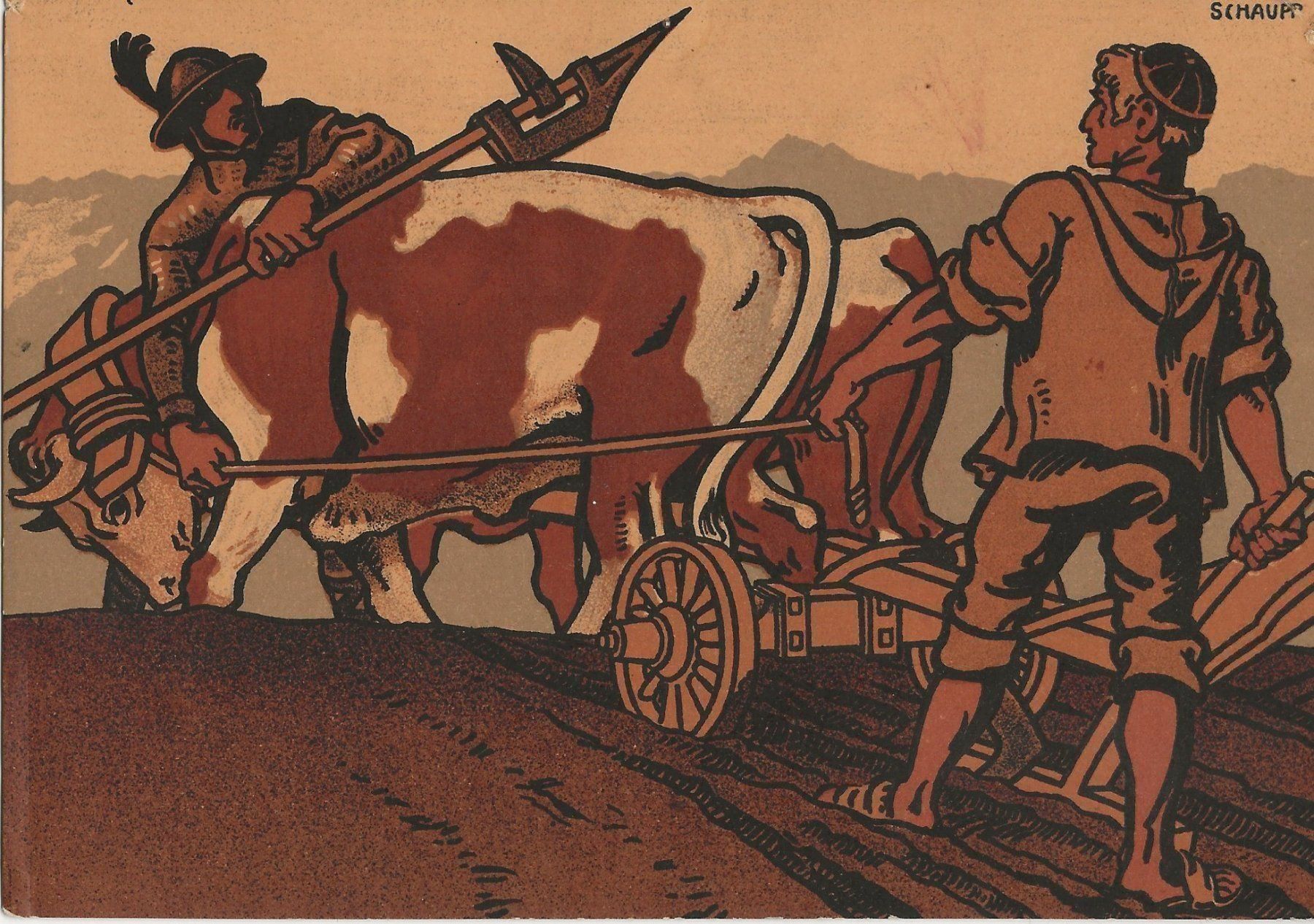 Cartoline postali: MONO, Melchtal, Ochsen, Landwirtschaft, 1908 – Usato da Frauenfeld venduto da Merk52