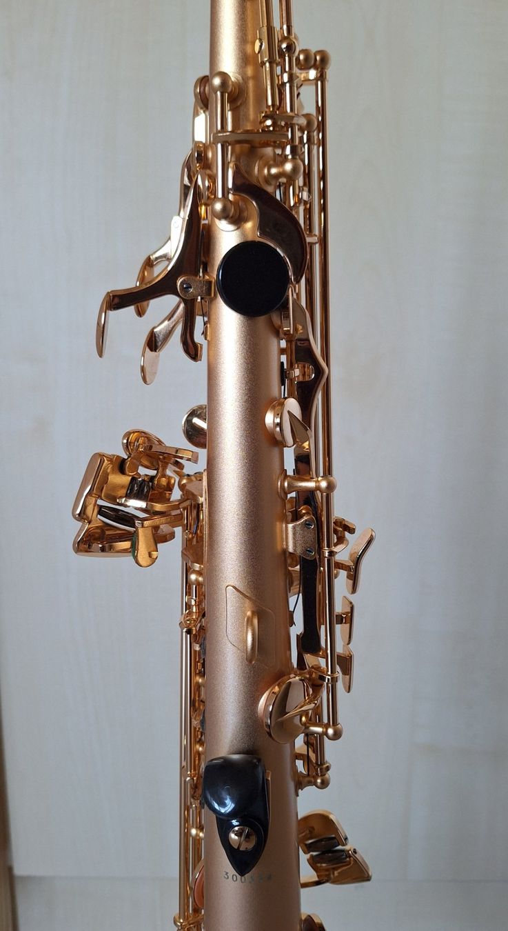 Strumenti musicali: Sopran Saxophon – Usato da Russikon venduto da Mochx 2