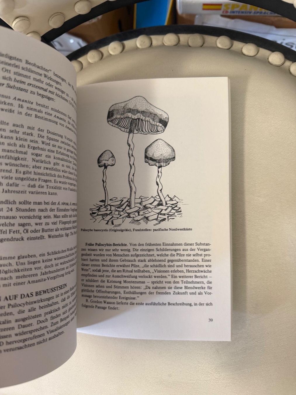 Libri: Psilocybin und andere Pilze – Usato da Dietikon venduto da Buchantiqdietikon 2