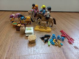 Playmobil Pferde und Ponys