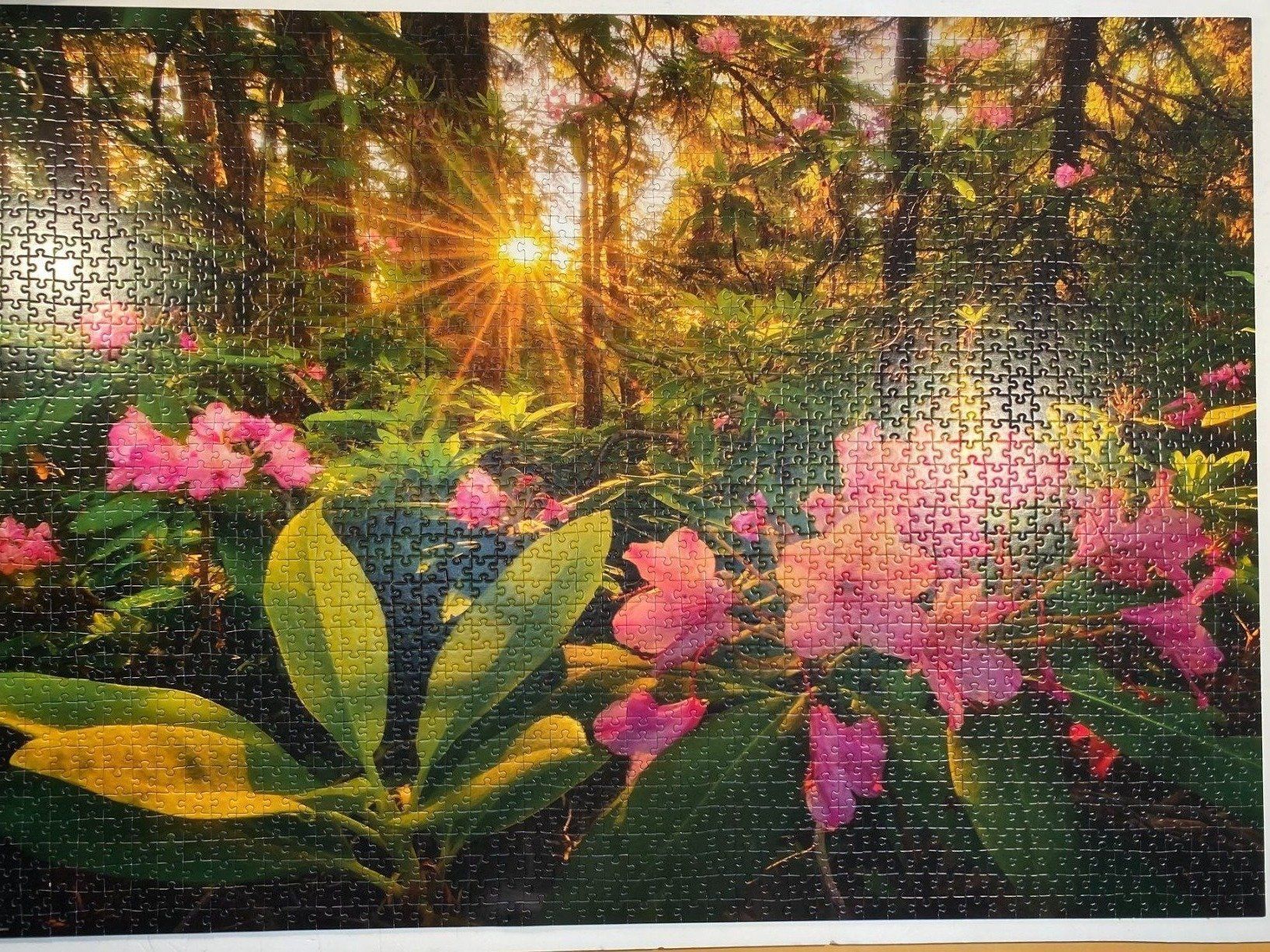 Heye Puzzle: Heye Puzzle Rhododendron 2000 – Usato da Dürnten venduto da RaschaKatz 1