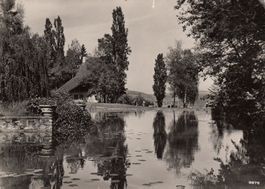 Rüschlikon Parkweiher