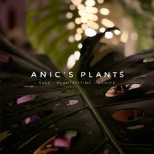 Profile image of anics.plants