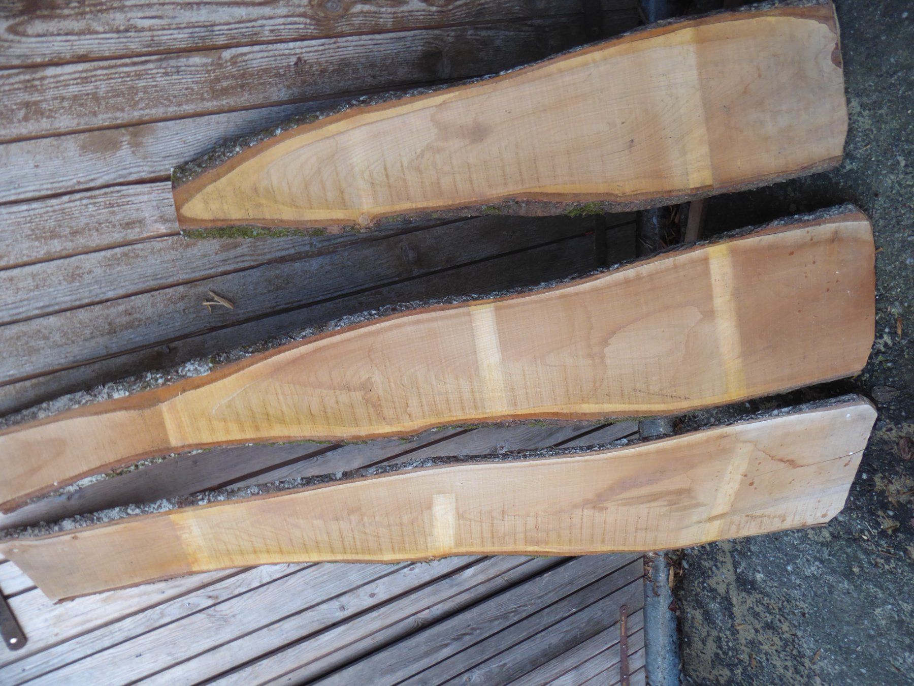 Articoli in legno: 3 Kirschbaumbrettli 16 mm – Nuovo (secondo la descrizione) da Sumiswald venduto da Hennri1