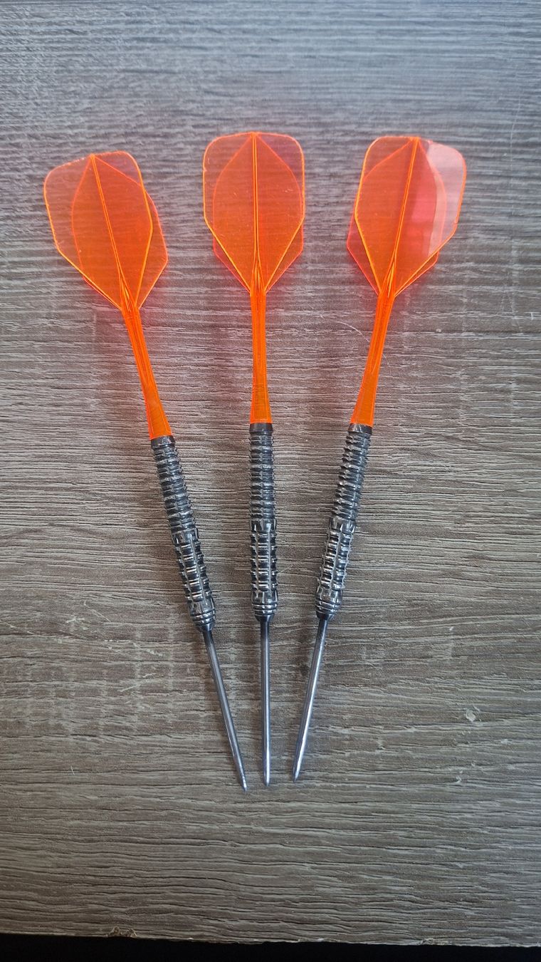 Jeux de fléchettes: Shot!Gnarly Shredda 28g Darts – D'occasion à Gurzelen par WinTheChu