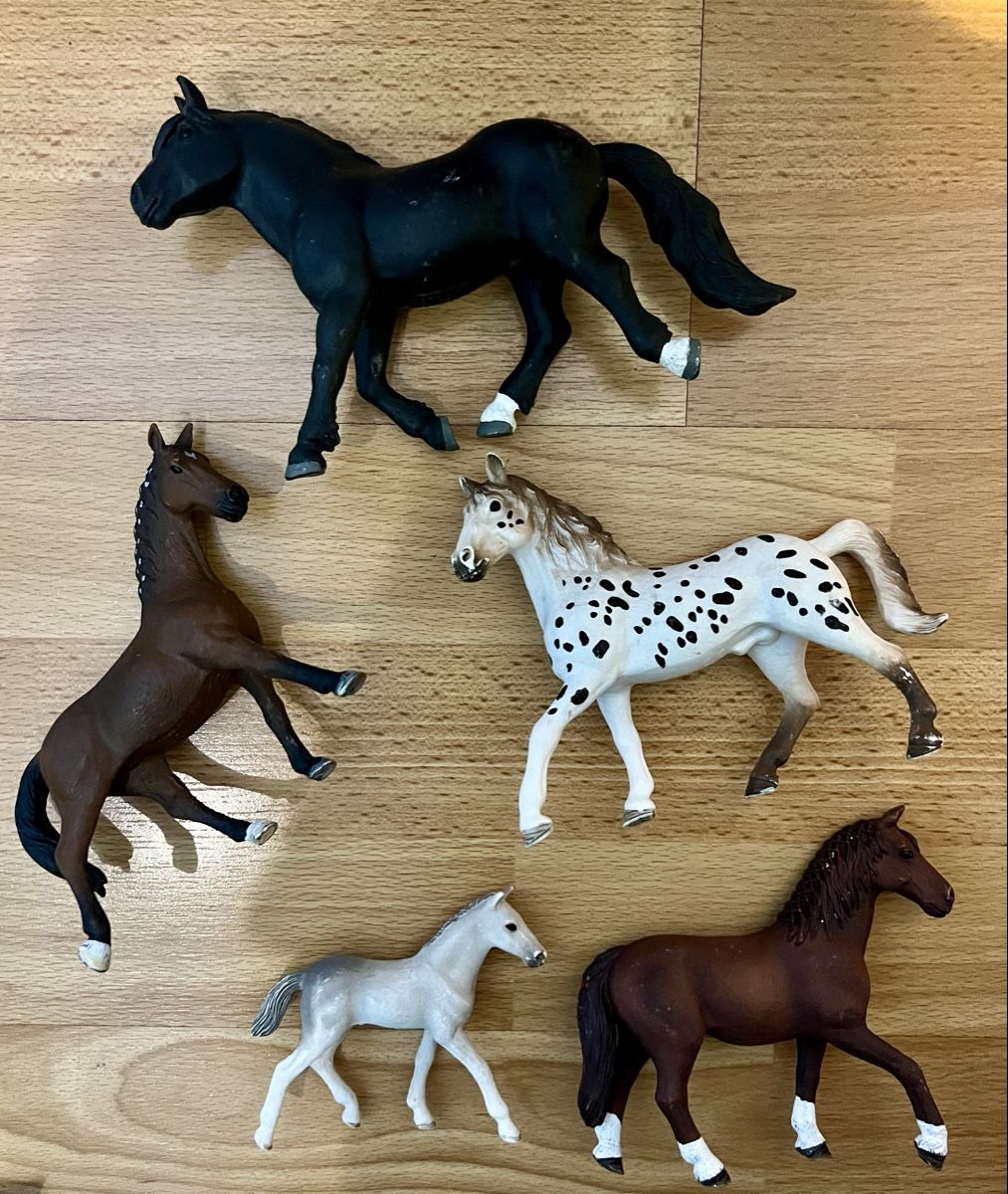Schleich Statuette: Schleich Pferde Set 13 Figuren – Usato da Obernau venduto da Mya285 2