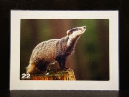 MIGROS MANIA Nature Detectives Nr. 22