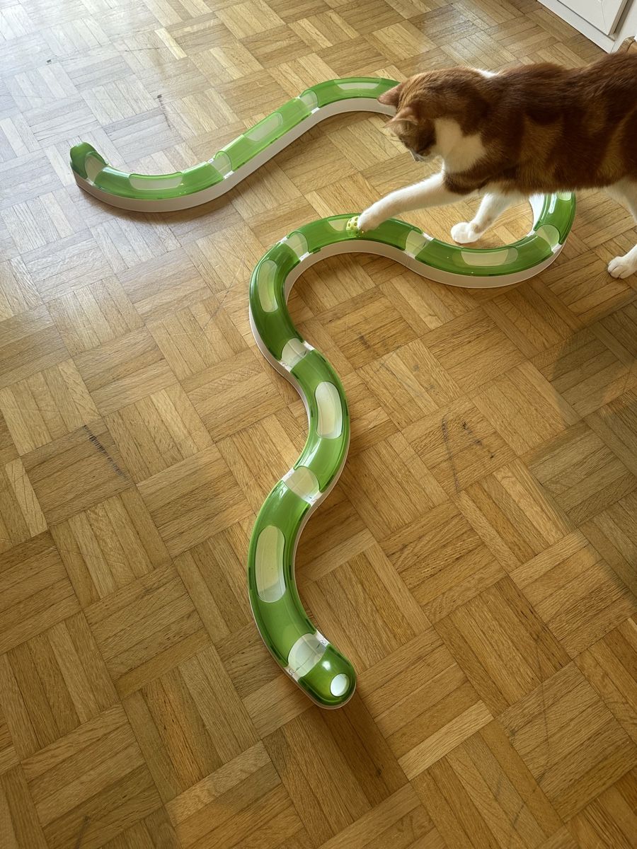 Spielzeuge: Catit Senses 2.0 – Gebraucht aus Lanzenhäusern von Lasiusbrunneus
