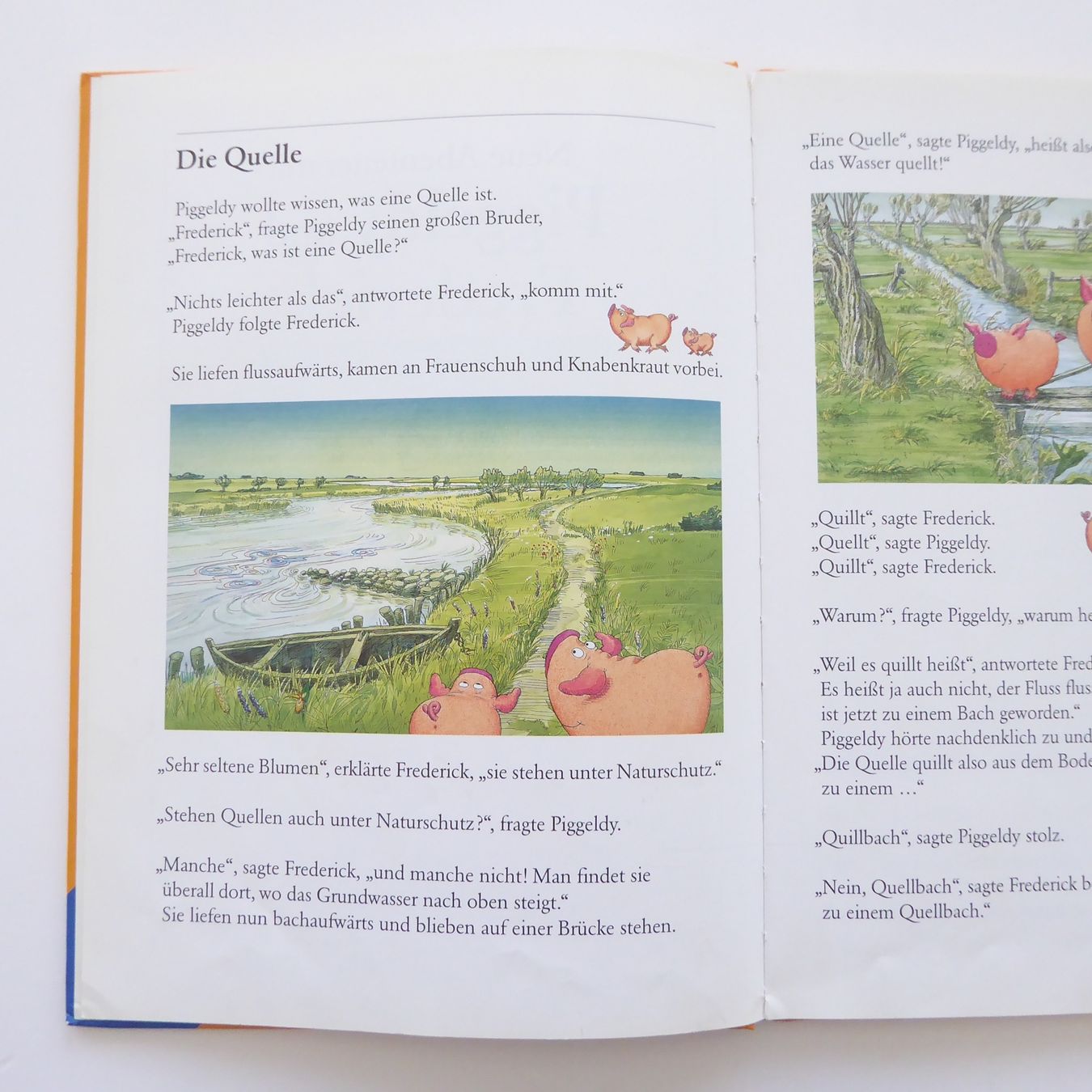 Libri: Neue Abenteuer mit Piggeldy und Frederick – Usato da Basel venduto da Kunterbunt12 3