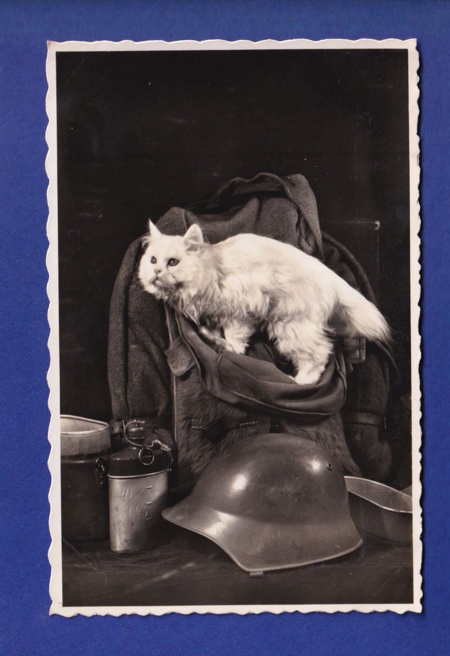 Ansichtskarten: CHAT - Militaire – Gebraucht aus Pully von nicecards-shop