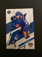 2025/26 EVZ Zug Andreas Wingerli Playoffs