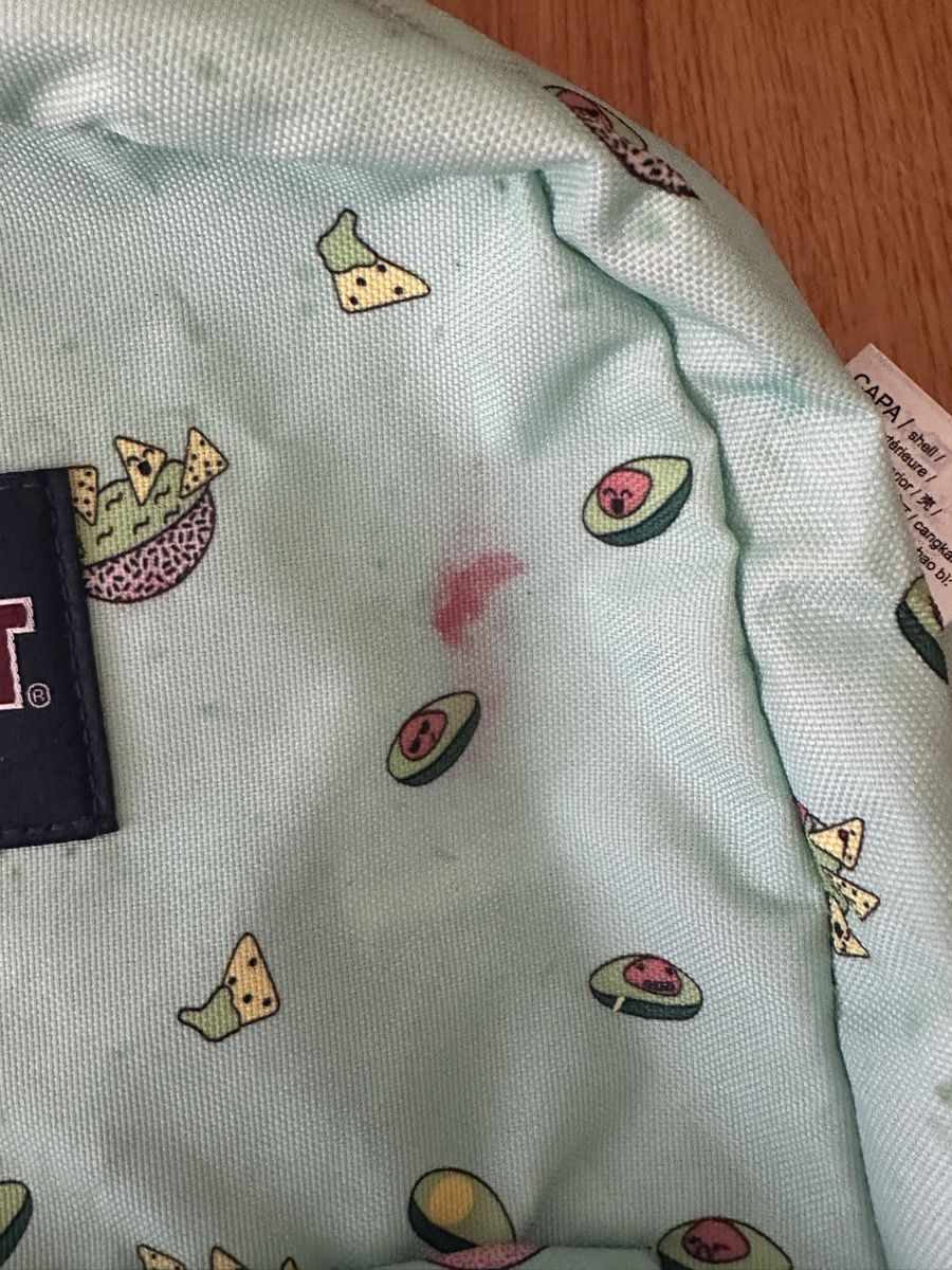 Jansport Zaini: Jansport Rucksack Avocado – Usato da Jona venduto da e.elisha.a 3