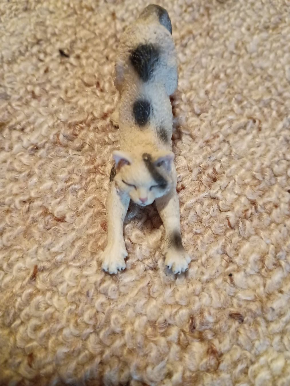 Schleich Figuren: Schleich 13677 Kater/Katze, streckend, 2010 – Neu (gemäss Beschreibung) aus Buchs AG von ReaNaTsch 2