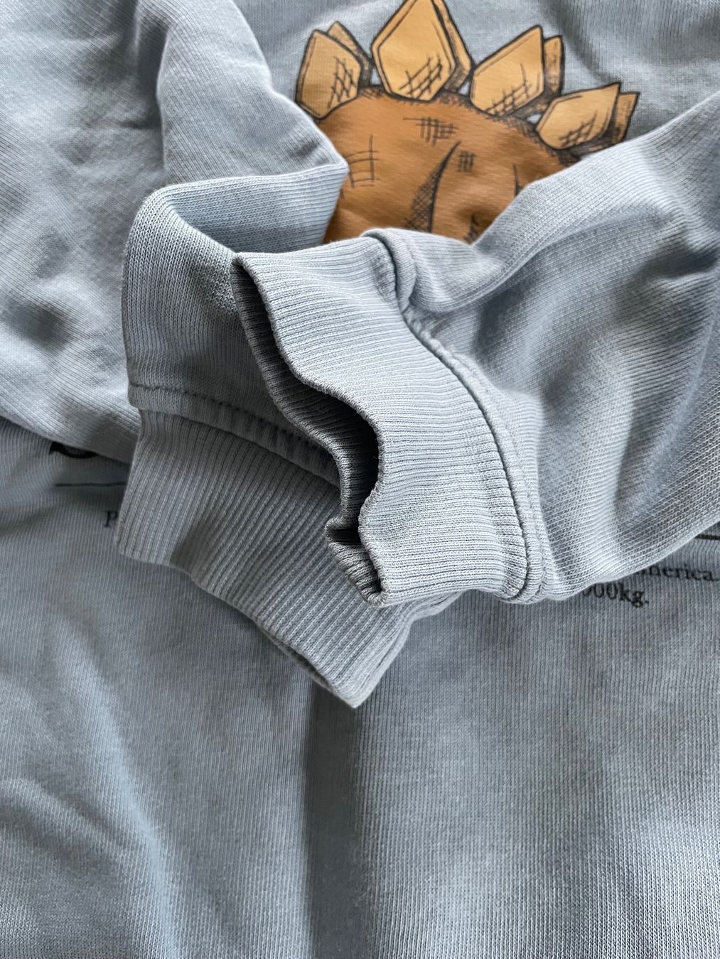H&M Pulls et sweat-shirts: Dino Pullover / Sweatshirt Gr. 110/116 H&M – D'occasion à Aesch ZH par lawas 2