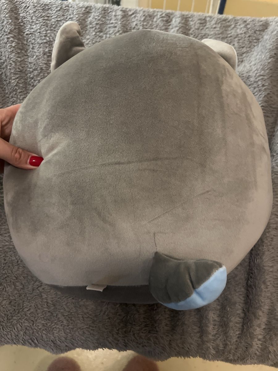Squishmallows Spielzeuge: Squishmallows Plüschtier  – Gebraucht aus Laufen von Nachlasverkauf 1