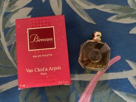 Miniature Birmane Van Cleef & Arpels