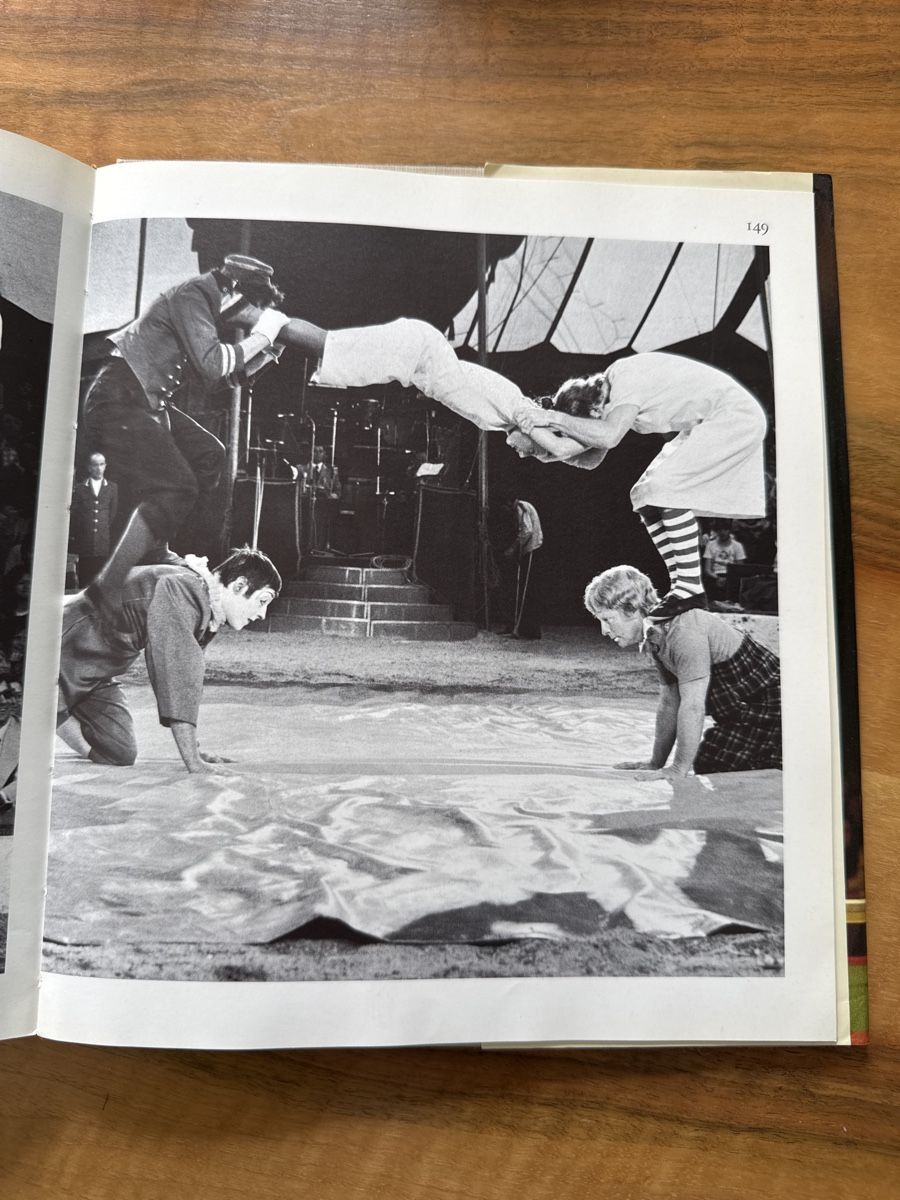 Libri: Zirkus - Buch – Usato da Emmenbrücke venduto da Florentina27 6