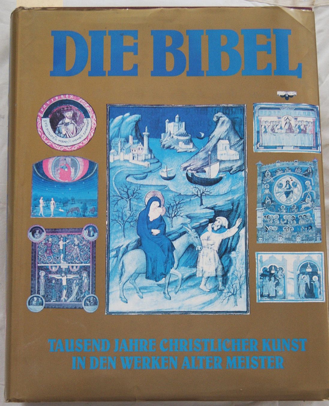 Livres: DIE BIBEL – D'occasion à Stadel par Wald100