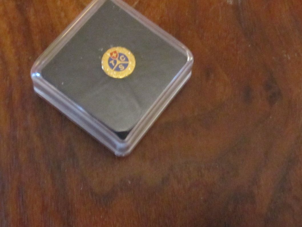 TCS Plaketten & Abzeichen: TCS Pin in Etui – Neu und originalverpackt aus Zuchwil von Bobi11 2