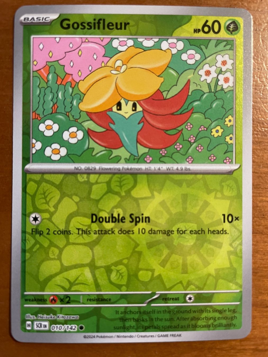 Pokémon Carte collezionabili: Pokemon Gossifleur Reverse (Versand gratis) – Nuovo (secondo la descrizione) da Chur venduto da Angerson