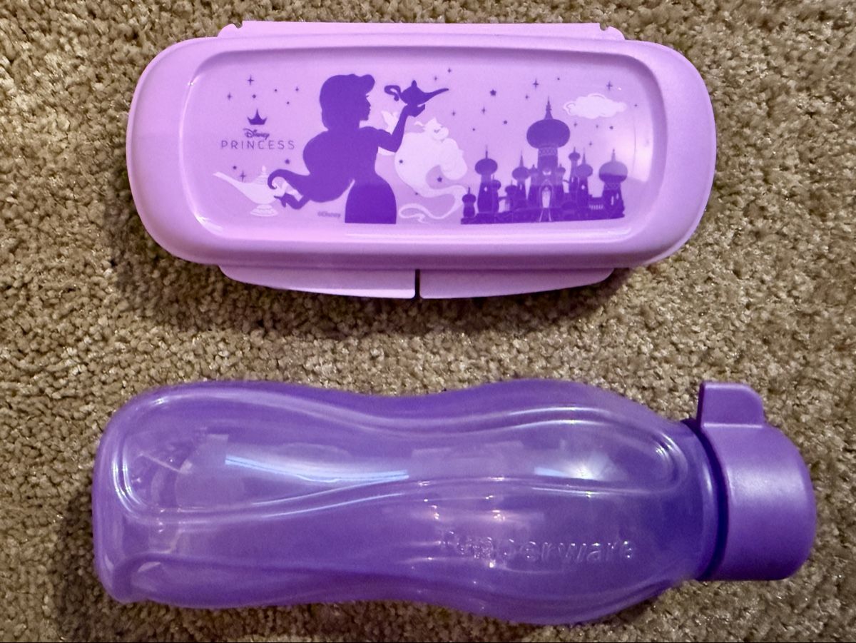 Tupperware Contenitori & Simili: Tupperware Disney Jasmin Box und Trinkflasche Set – Nuovo e nell'imballaggio originale da Worben venduto da Teddy112