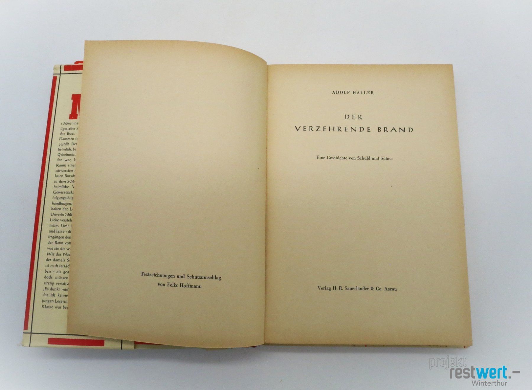 Bücher: ADOLF HALLER - Der verzehrende Brand – Gebraucht aus Winterthur von Restwert_Winterthur 2
