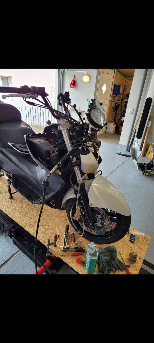 Sym Scooter: Sym Maxsym Ab grossem Service MFK bereit – Usato da Zollikofen venduto da spawn85sx 7
