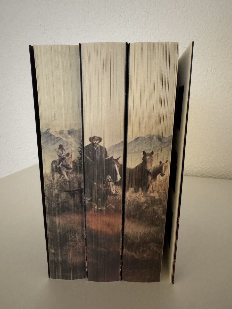 Libri: J.S. Wonda Cinder - Bücher Reihe – Usato da Hettlingen venduto da csc_7qvh 1