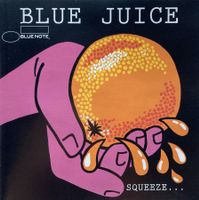 VARIOUS / FUNK / SOUL / JAZZ / FUSION - BLUE JUICE