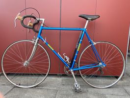 Koch Rennvelo Klassiker (12-Gang) – Shimano Altus & Weinmann