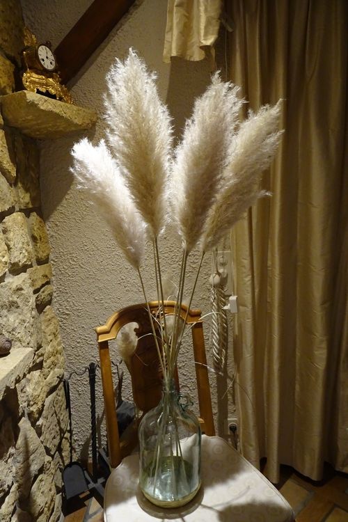 bouquet de 7 X herbe de la pampa 7.-/ 7 X pampasgras 7.- (Neu und ...