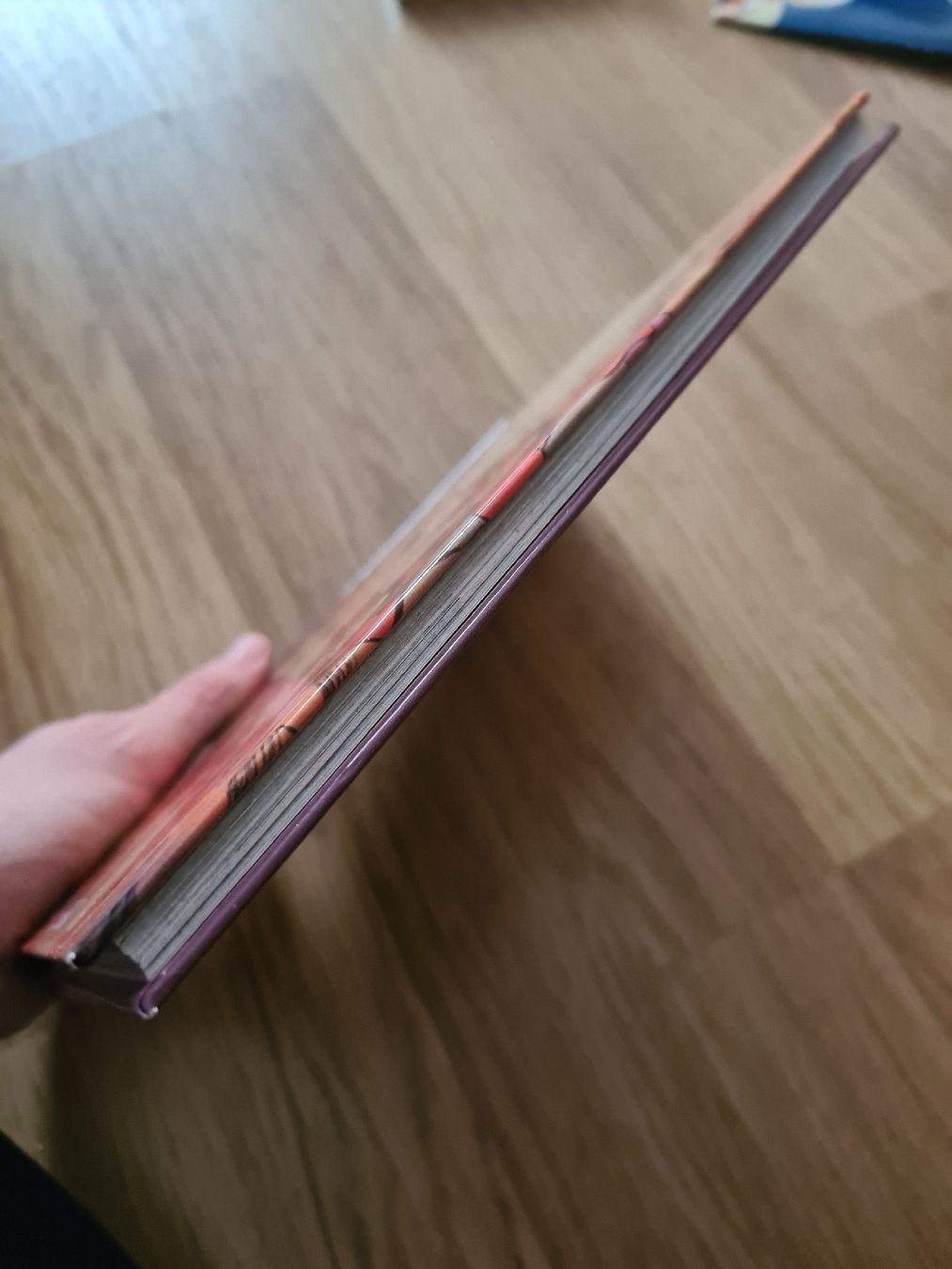 Bücher: Tiggers Grosses Abenteuer Kinder Buch – Gebraucht aus Langenthal von Polarisstern 1