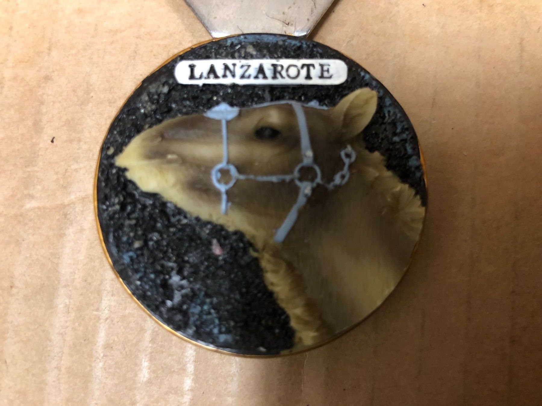Magnete: Flaschenöffner Lanzerote – Gebraucht aus Eschlikon TG von 1.- 3