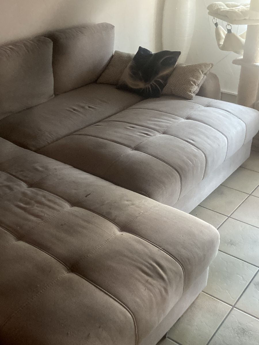 Divani: sofa. abholung in siebnen SZ – Usato da gretzenbach venduto da mic_cvj6 8