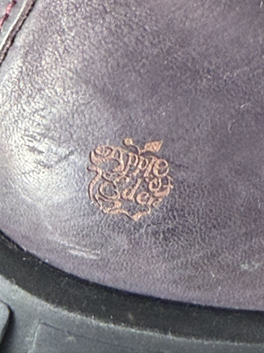 Scarpe da donna: Apple of Eden Boots – Usato da Hägglingen venduto da Froemhill 4
