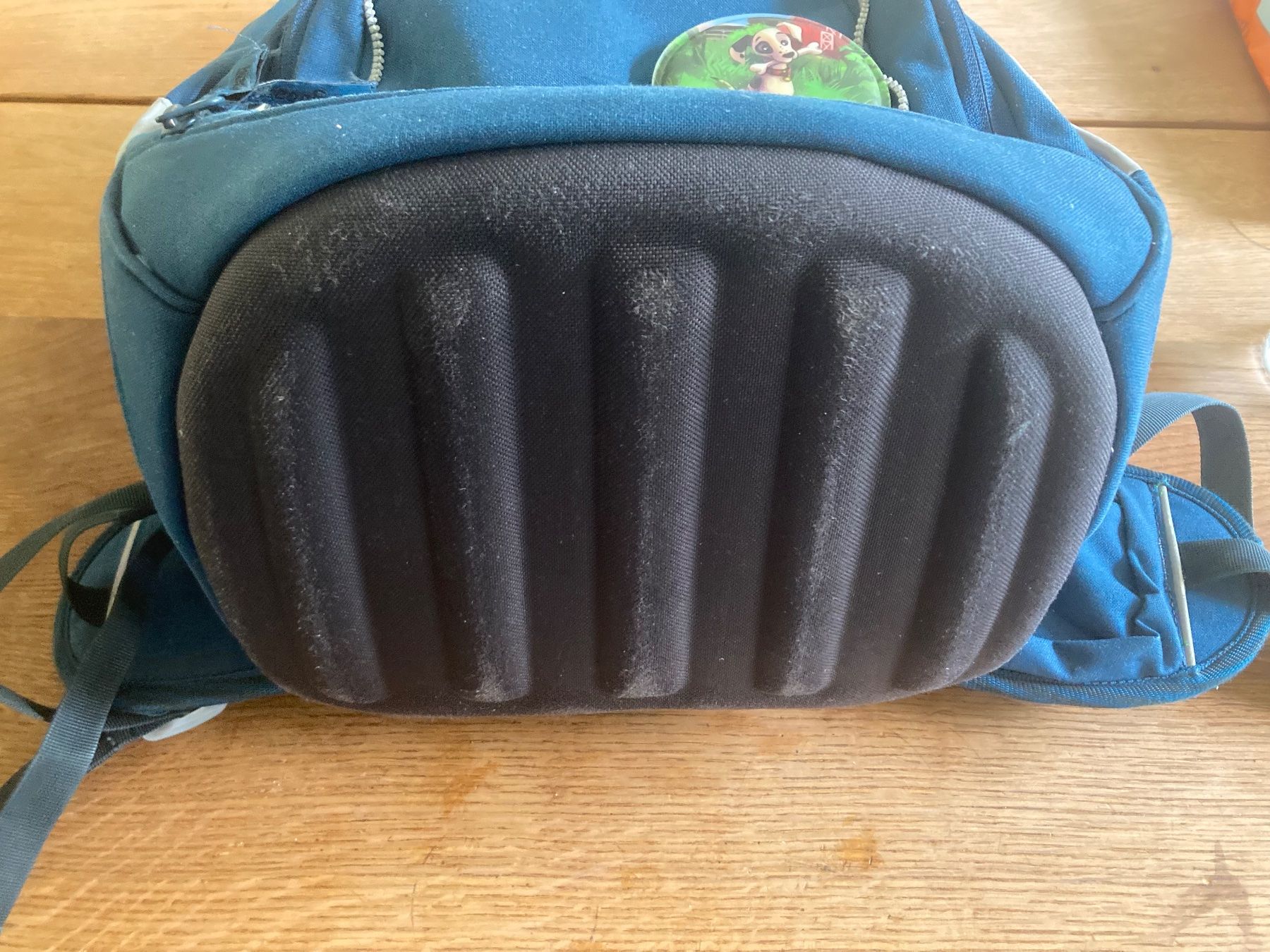 Ergobag Borse & Zaini: Ergobag-Set blau mit Hunde-Kletties – Usato da Romanshorn venduto da Mainzel82 7