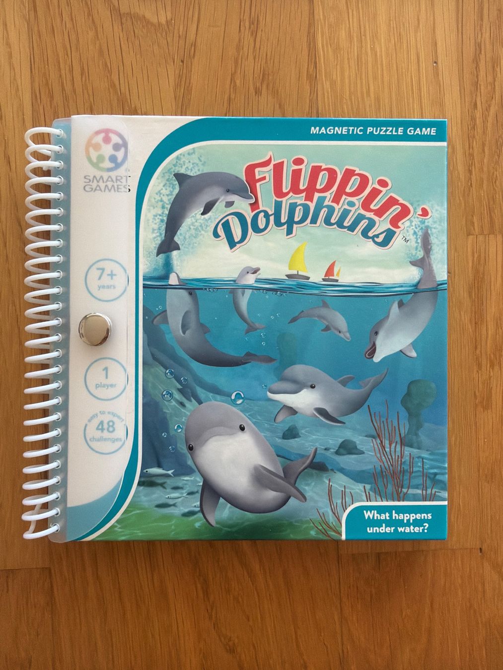 Spiele: Delfinen Magnetspiel – Neu (gemäss Beschreibung) aus Steffisburg von perle15